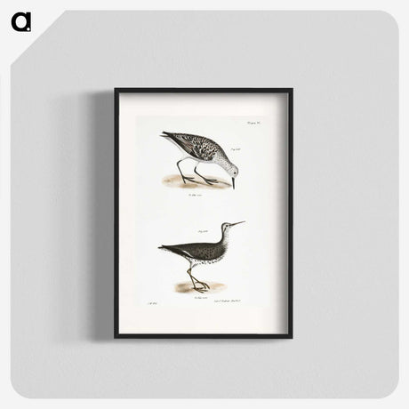 2-66_Zoology-of-New-York_blk
