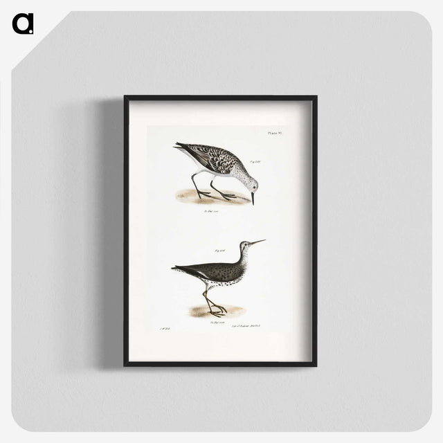 2-66_Zoology-of-New-York_blk
