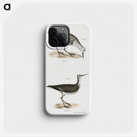 2-66_Zoology-of-New-York_phone