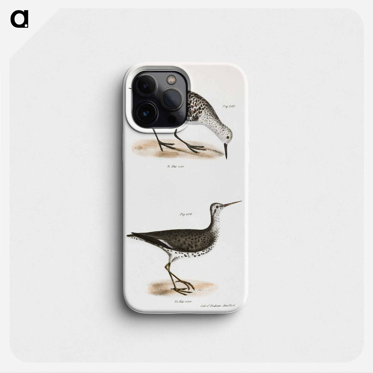 Sanderling - ニューヨークの動物学 Phone Case.