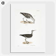 2-66_Zoology-of-New-York_picture