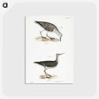2-66_Zoology-of-New-York_postcard