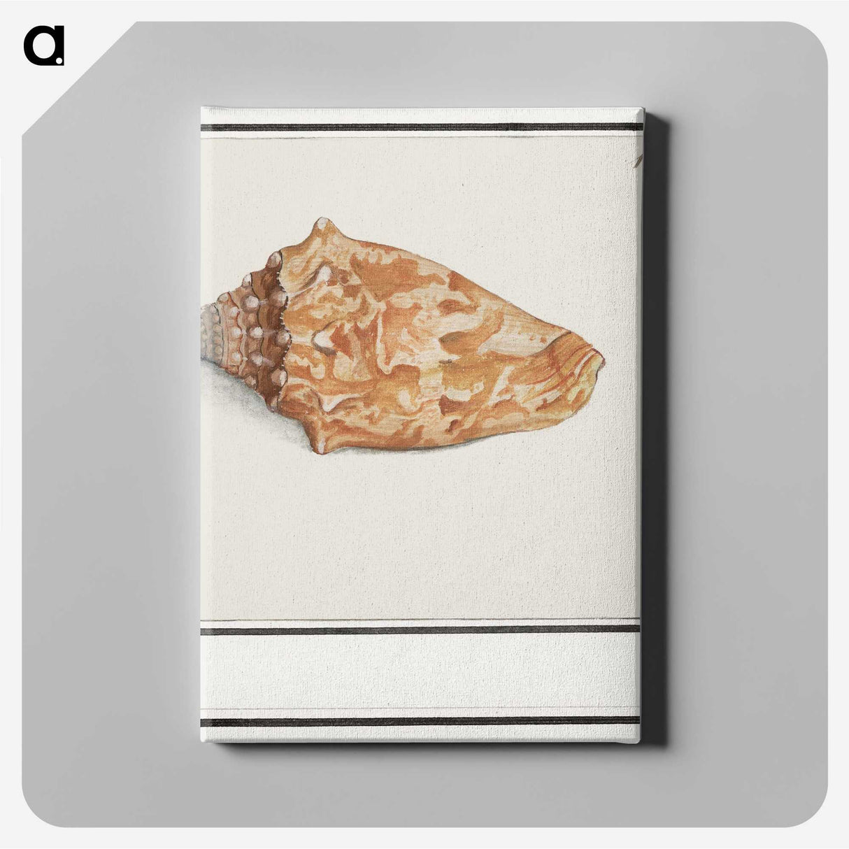 2-67_Anselmus-Boetius-de-Boodt_canvas