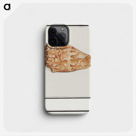 2-67_Anselmus-Boetius-de-Boodt_phone