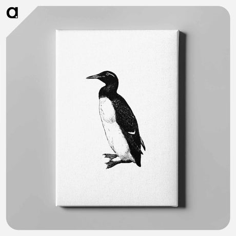 アートパネル-Penguin Engraving
 - 大英図書館 Canvas.