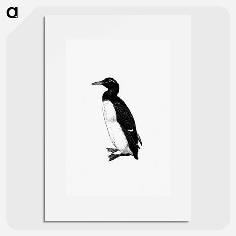 アートポスター-Penguin Engraving
 - 大英図書館 Poster.