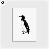 アートポストカード-Penguin Engraving
 - 大英図書館 Postcard.