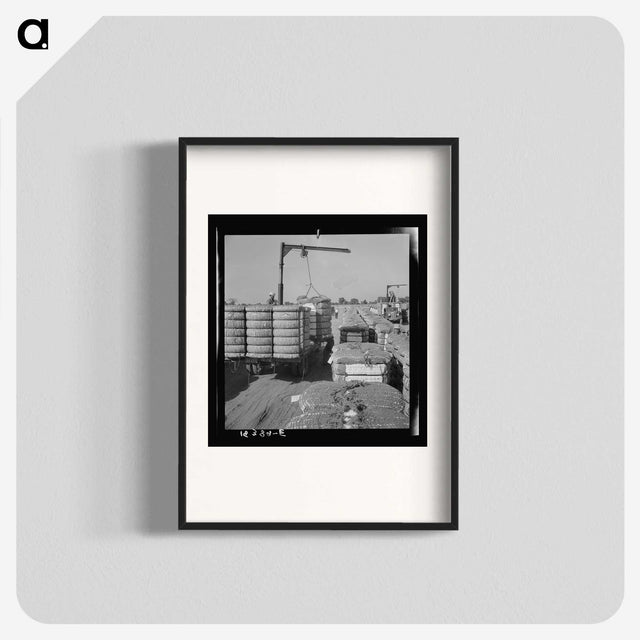 2-67_Dorothea-Lange_blk