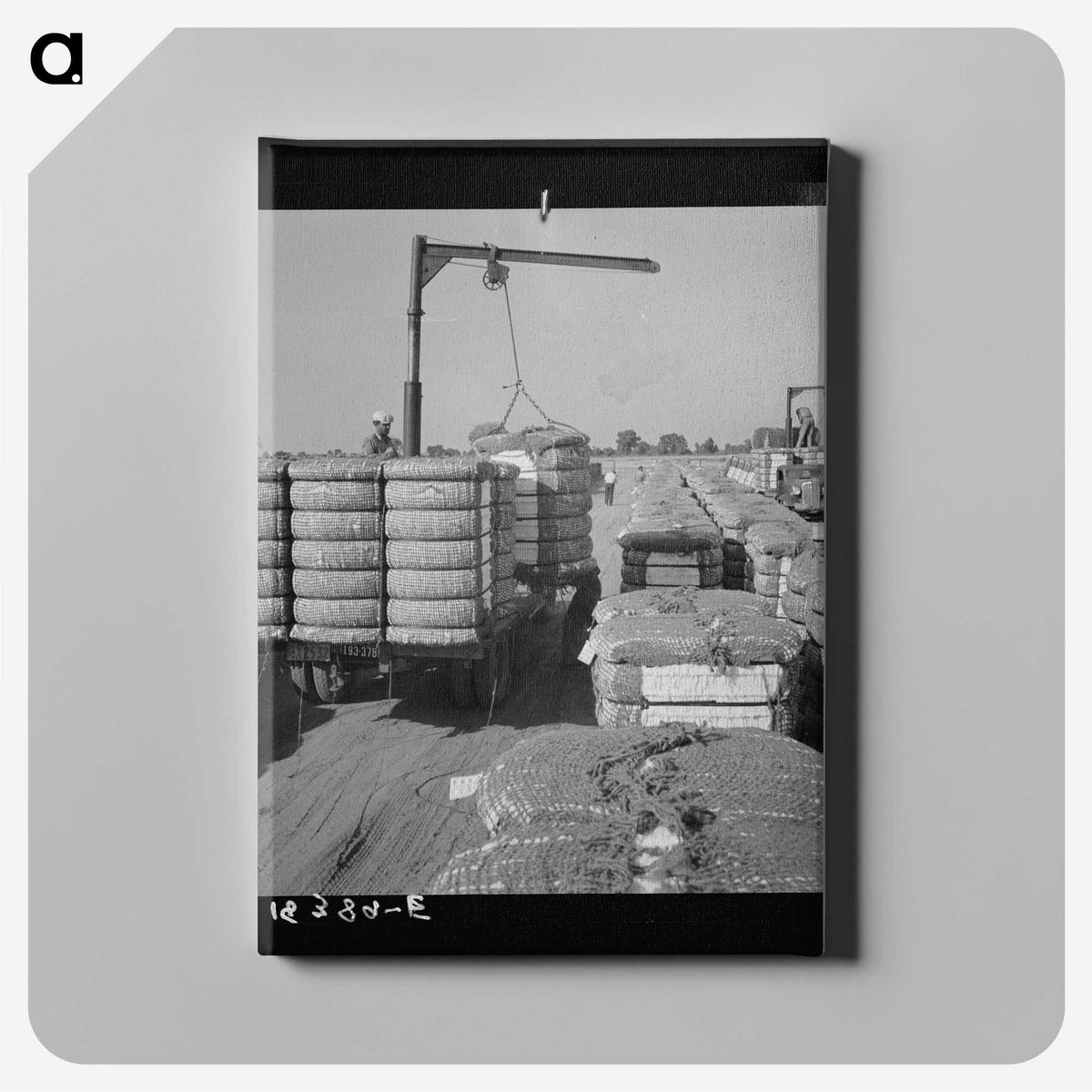 2-67_Dorothea-Lange_canvas
