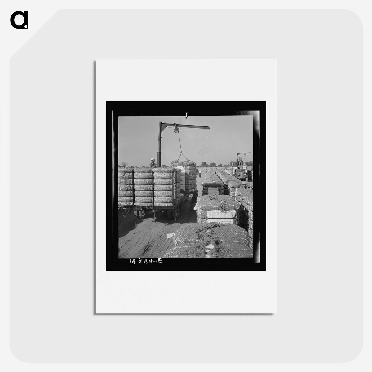 2-67_Dorothea-Lange_hagaki
