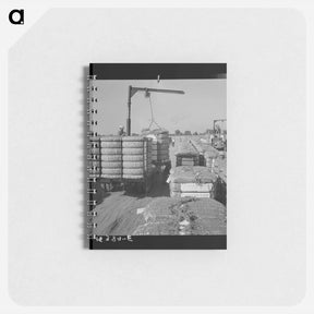 アートメモ帳-Untitled photo - ドロテア ラング Memo.