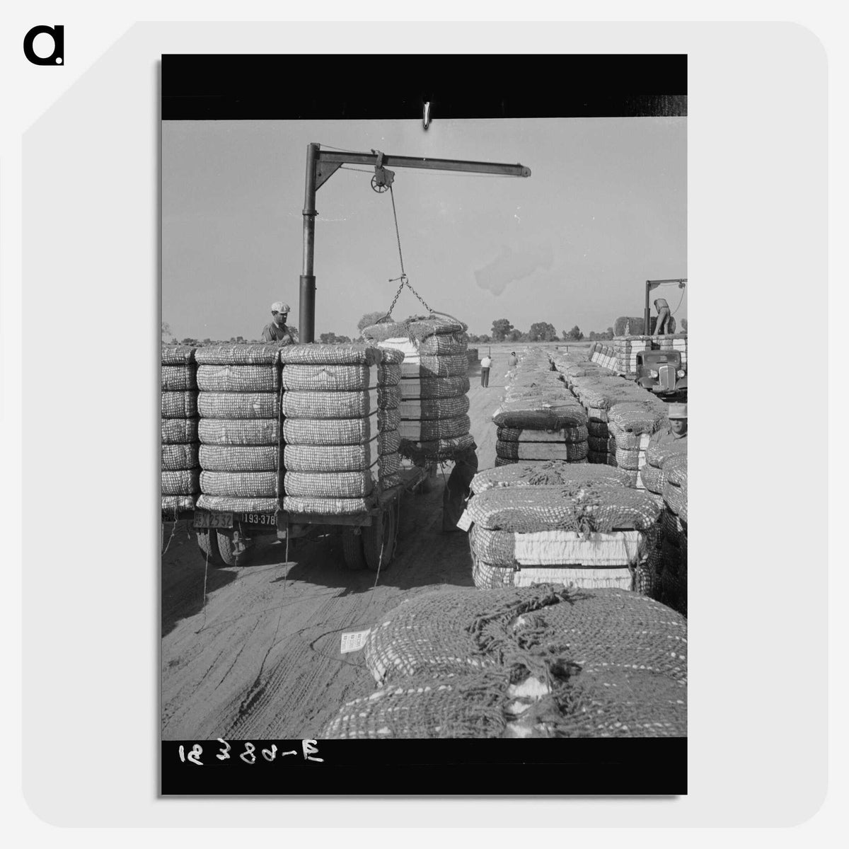 2-67_Dorothea-Lange_picture-crop