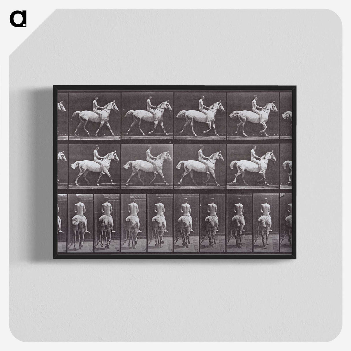2-67_Eadweard-Muybridge_blk-crop