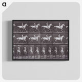 2-67_Eadweard-Muybridge_blk-crop