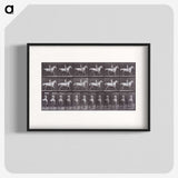 2-67_Eadweard-Muybridge_blk