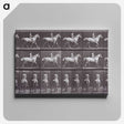 2-67_Eadweard-Muybridge_canvas