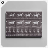2-67_Eadweard-Muybridge_canvas