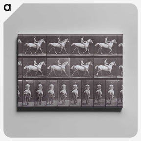 2-67_Eadweard-Muybridge_canvas
