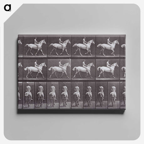 2-67_Eadweard-Muybridge_canvas