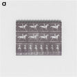 2-67_Eadweard-Muybridge_memo