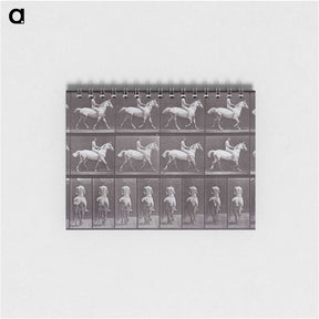 2-67_Eadweard-Muybridge_memo