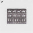 アートメモ帳-Animal Locomotion
 - エドワード マイブリッジ Memo.