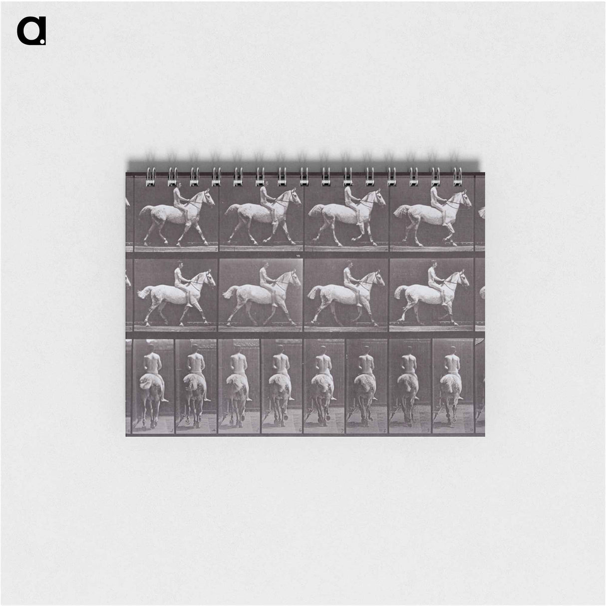 アートメモ帳-Animal Locomotion
 - エドワード マイブリッジ Memo.