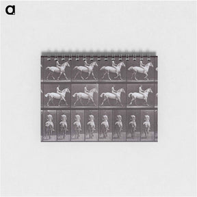 アートメモ帳-Animal Locomotion
 - エドワード マイブリッジ Memo.