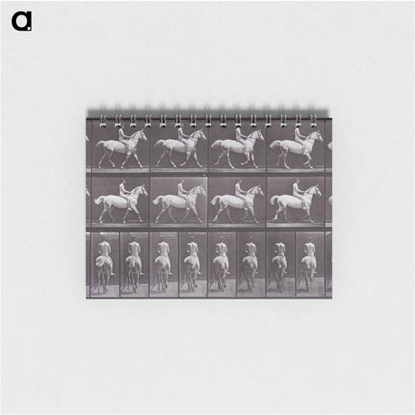アートメモ帳-Animal Locomotion
 - エドワード マイブリッジ Memo.