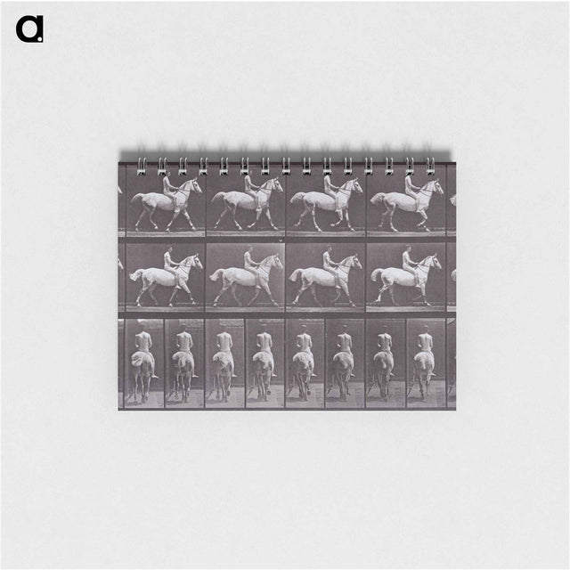 アートメモ帳-Animal Locomotion
 - エドワード マイブリッジ Memo.