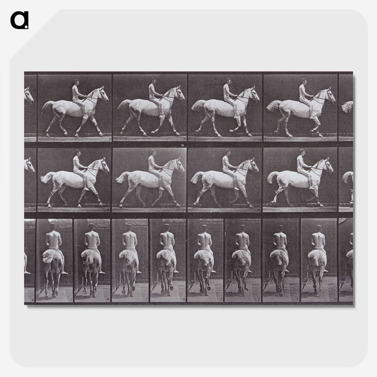 2-67_Eadweard-Muybridge_picture-crop