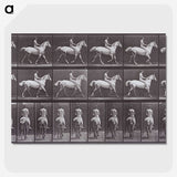 2-67_Eadweard-Muybridge_picture-crop
