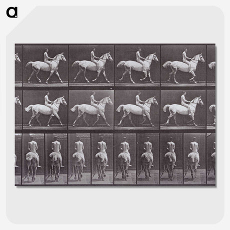 2-67_Eadweard-Muybridge_picture-crop