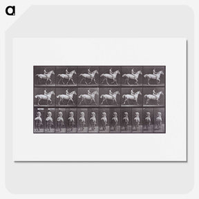 2-67_Eadweard-Muybridge_picture