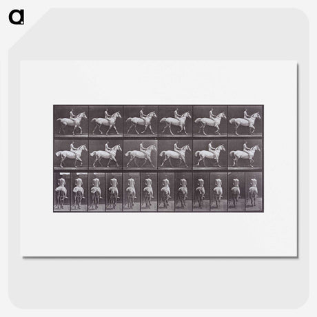 2-67_Eadweard-Muybridge_picture