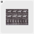 2-67_Eadweard-Muybridge_postcard