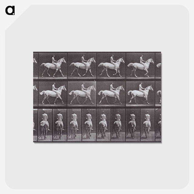 2-67_Eadweard-Muybridge_postcard