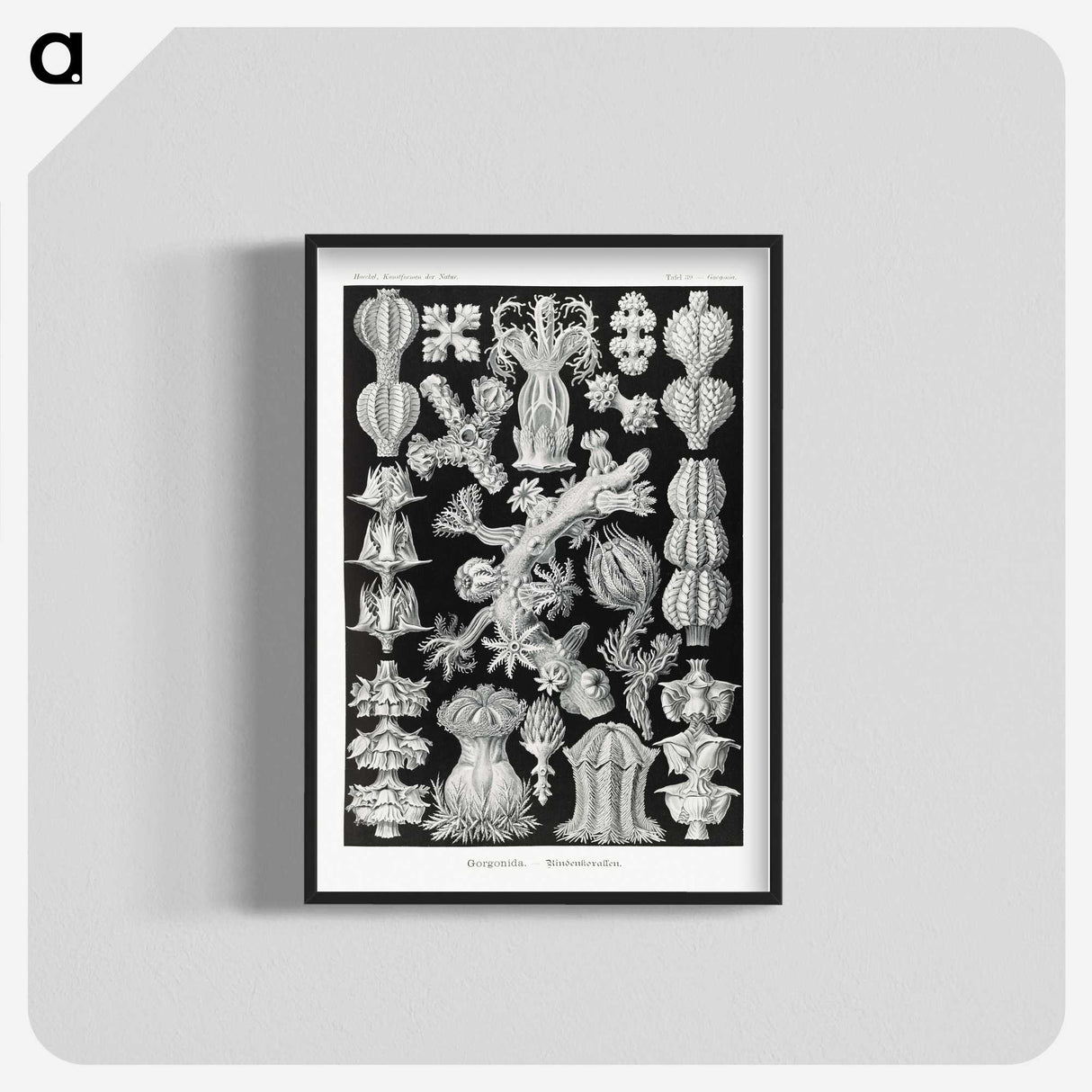 2-67_Ernst-Haeckel_blk-crop