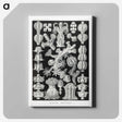 2-67_Ernst-Haeckel_canvas