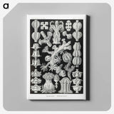 2-67_Ernst-Haeckel_canvas