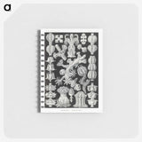 2-67_Ernst-Haeckel_memo