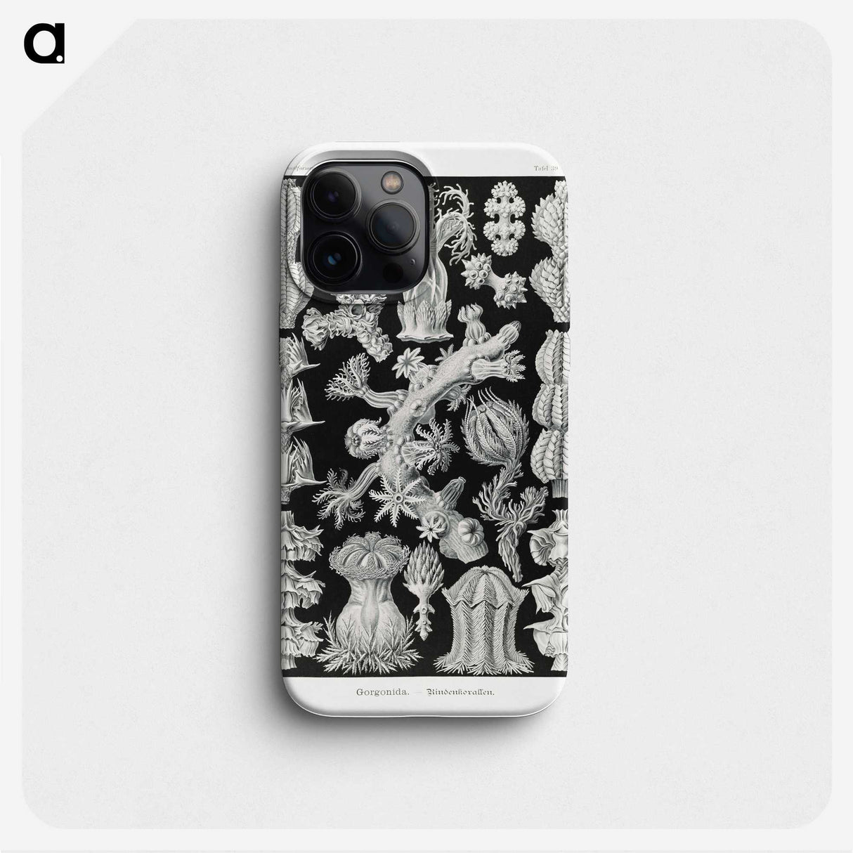 2-67_Ernst-Haeckel_phone
