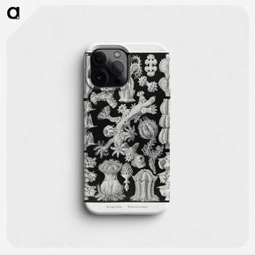 2-67_Ernst-Haeckel_phone