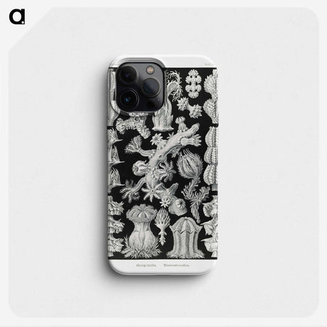 2-67_Ernst-Haeckel_phone