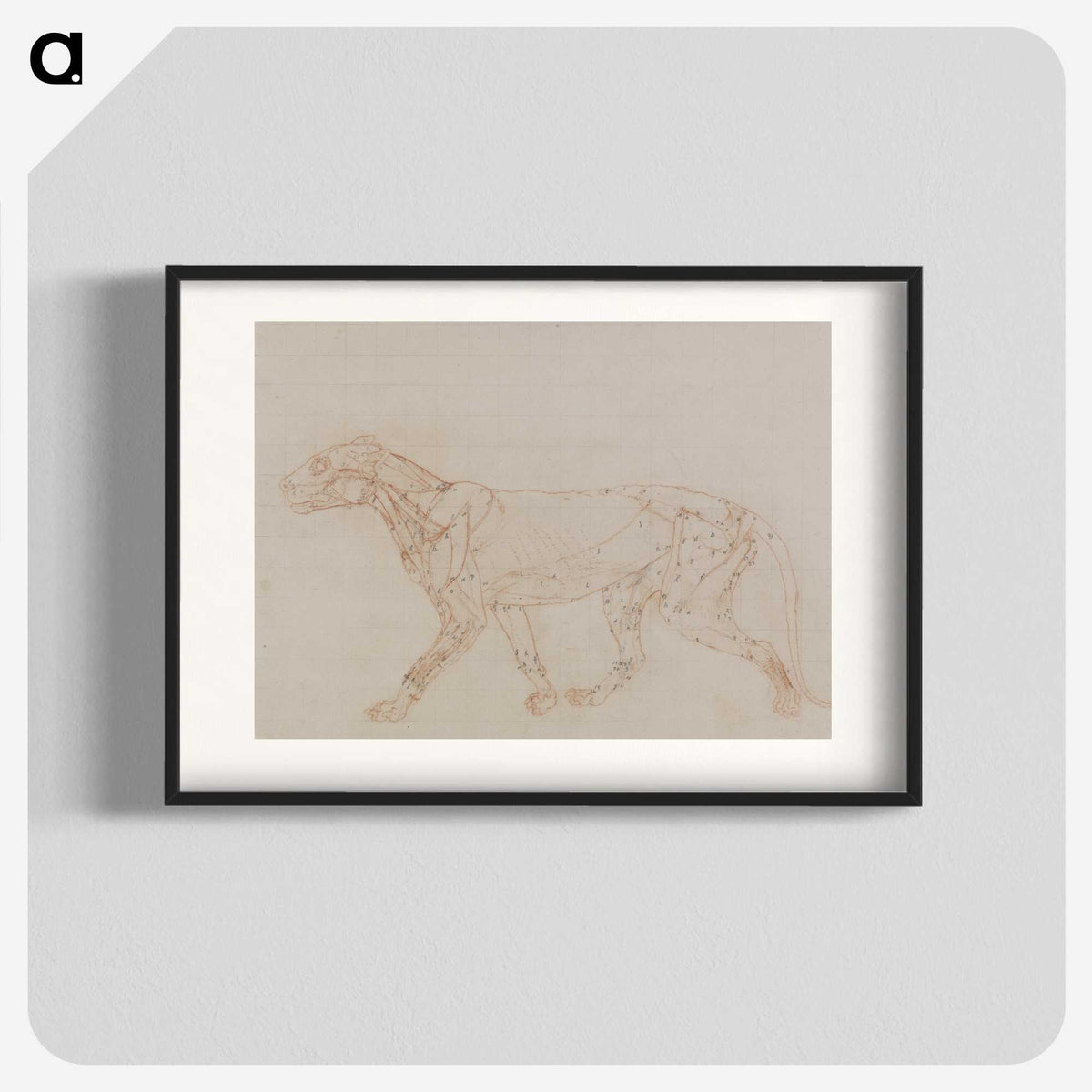 2-67_George-Stubbs_blk