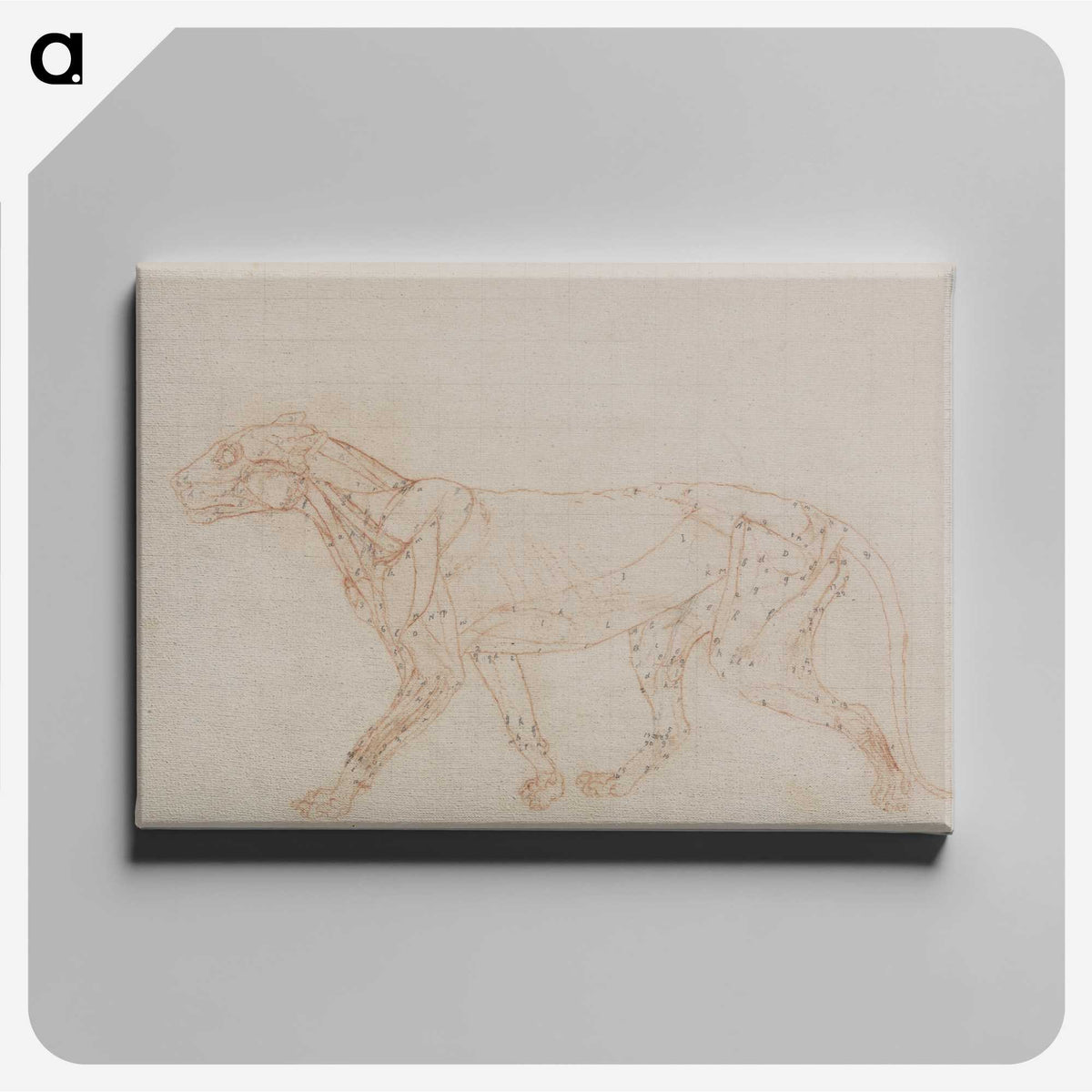 2-67_George-Stubbs_canvas