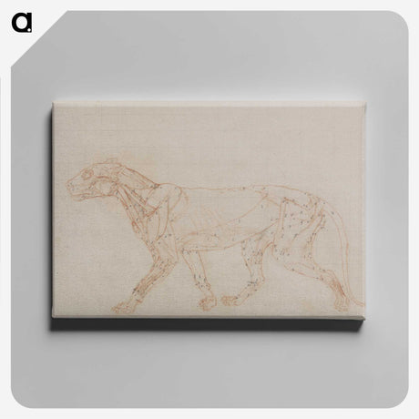 2-67_George-Stubbs_canvas