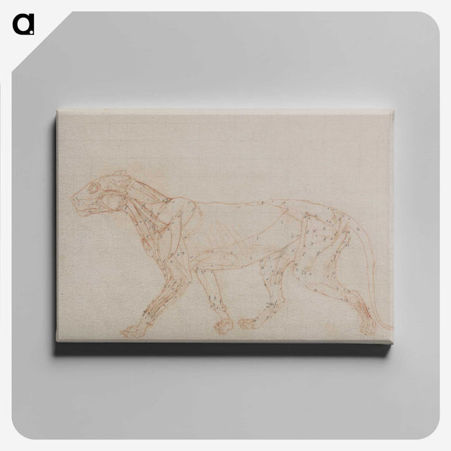 2-67_George-Stubbs_canvas
