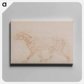 アートパネル-Tiger Body, Lateral View
 - ジョージ スタッブス Canvas.