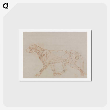 2-67_George-Stubbs_hagaki